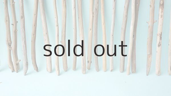 画像6: 棒流木セット (6)