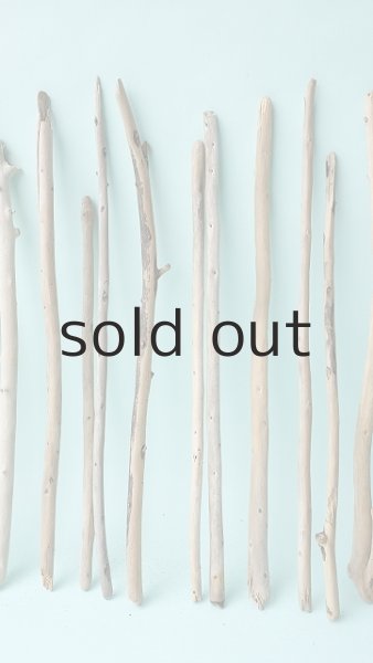 画像3: 棒流木セット (3)