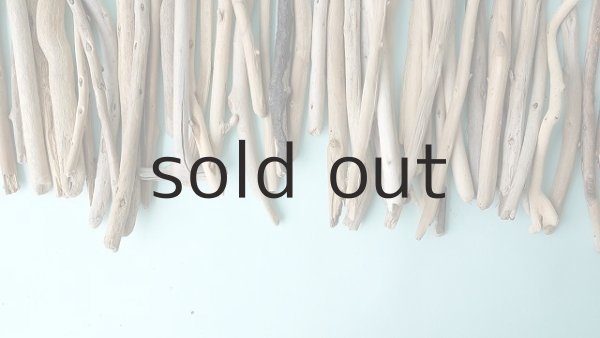 画像4: 小枝流木セット (4)