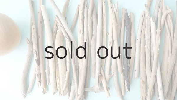 画像2: 小枝流木セット (2)