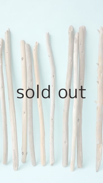 画像4: 棒流木セット (4)