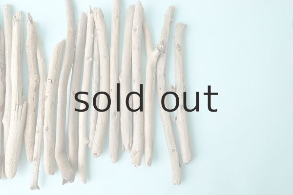 画像4: 小枝流木セット (4)