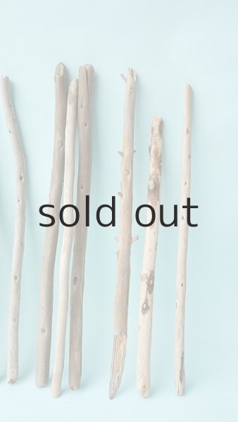 画像5: 棒流木セット (5)