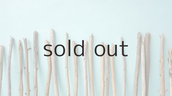 画像7: 棒流木セット (7)