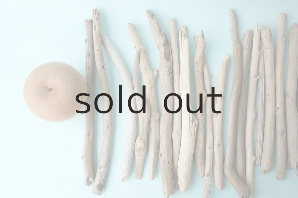 画像2: 小枝流木セット (2)