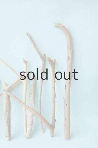 画像5: 小枝流木セット (5)