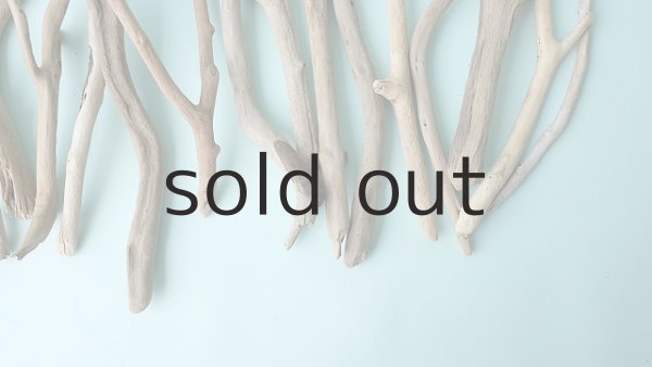 画像3: 小枝流木セット (3)