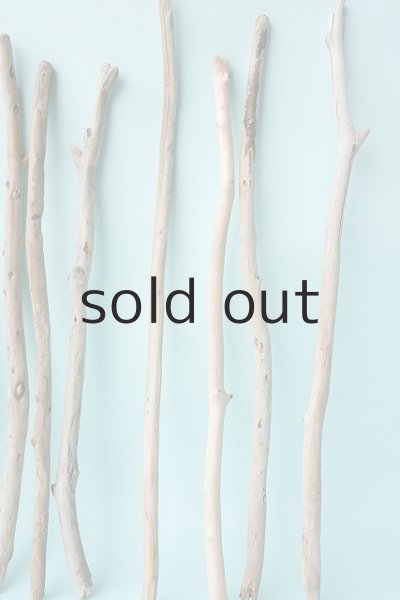 画像5: 棒流木セット (5)