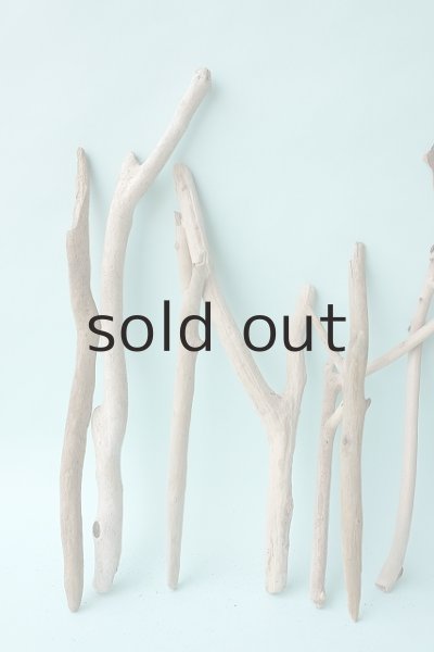 画像2: 小枝流木セット (2)