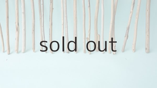 画像5: 棒流木セット (5)