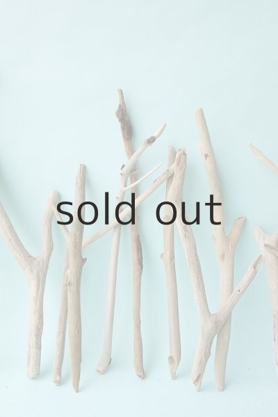 画像3: 小枝流木セット (3)