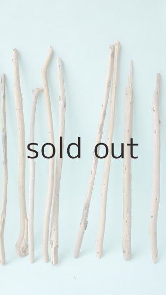 画像4: 棒流木セット (4)