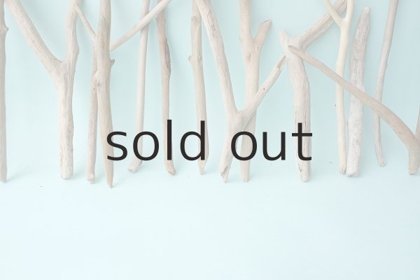 画像6: 小枝流木セット (6)