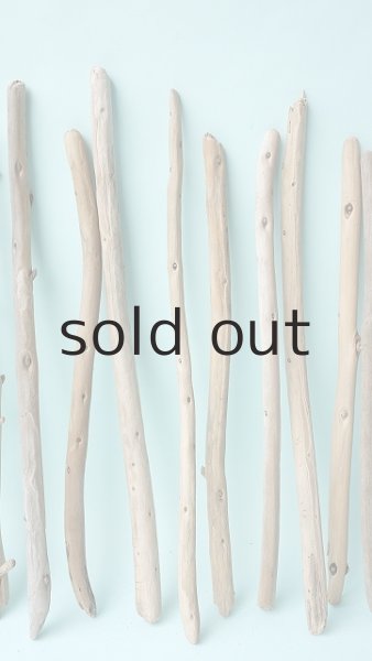 画像3: 棒流木セット (3)