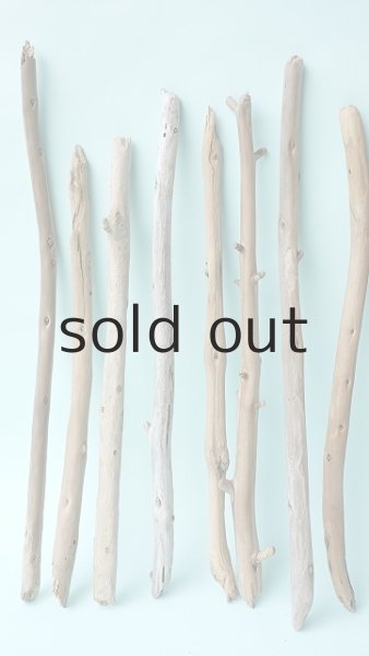 画像2: 棒流木セット (2)