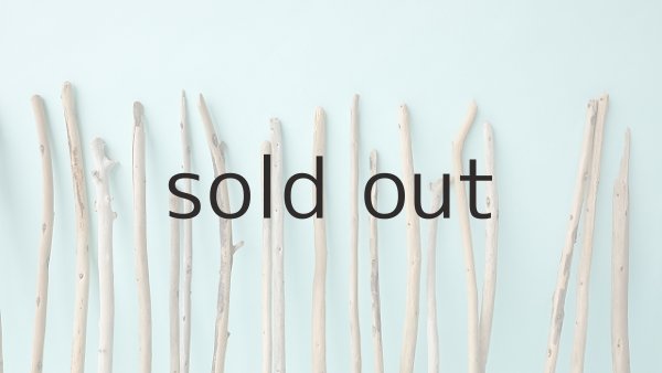 画像6: 棒流木セット (6)