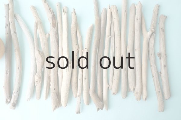 画像3: 小枝流木セット (3)