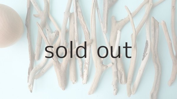 画像2: 小枝流木セット (2)