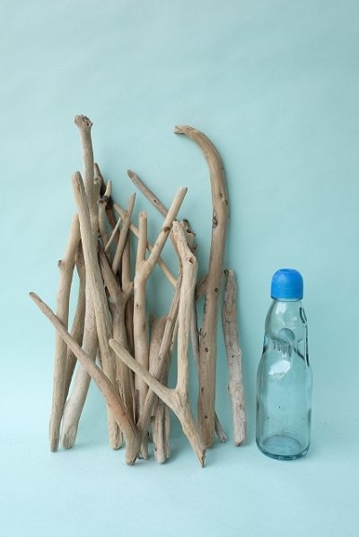 画像3: 小枝流木セット