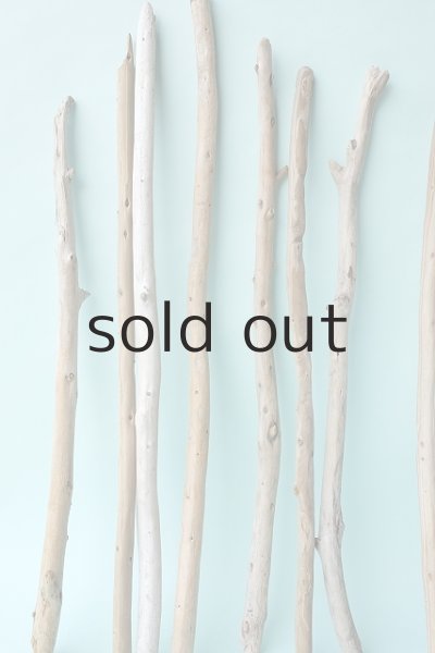 画像4: 棒流木セット (4)