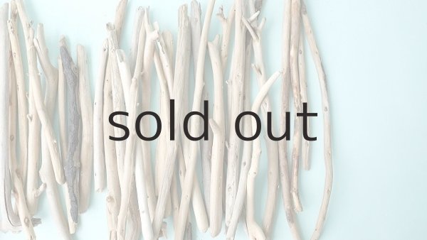 画像3: 小枝流木セット (3)