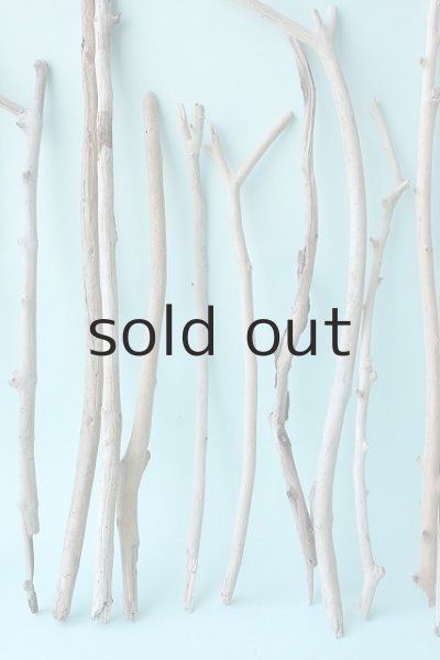 画像3: 小枝流木セット (3)