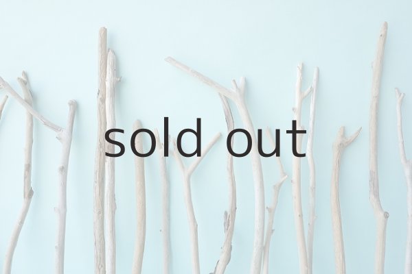 画像6: 小枝流木セット (6)