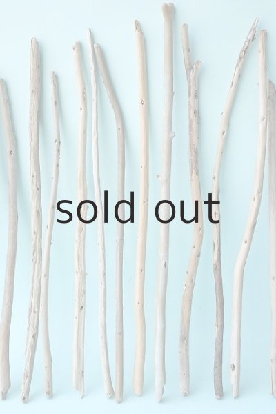 画像3: 棒流木セット (3)