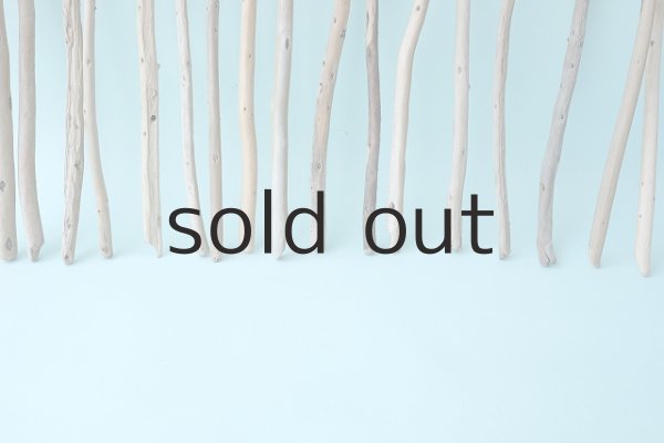 画像5: 棒流木セット (5)