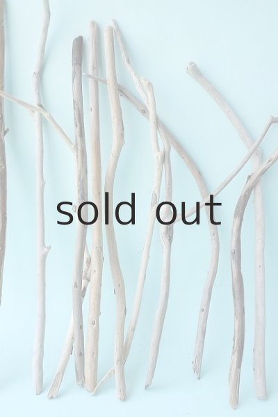 画像3: 小枝流木セット (3)