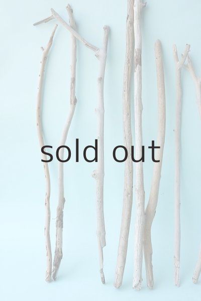 画像2: 小枝流木セット (2)