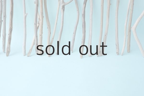 画像5: 小枝流木セット (5)