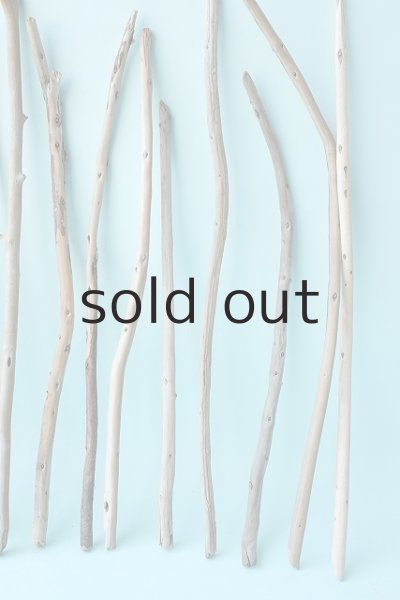 画像4: 棒流木セット (4)