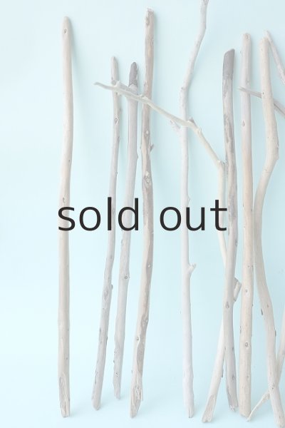 画像2: 小枝流木セット (2)