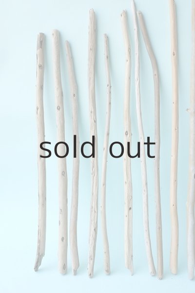 画像2: 棒流木セット (2)