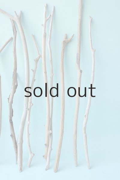 画像5: 小枝流木セット (5)