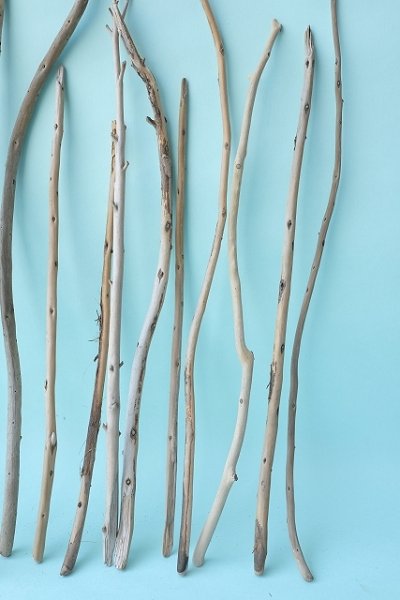 画像4: 棒流木セット (4)