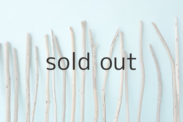 画像6: 棒流木セット (6)