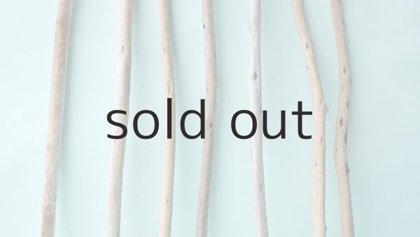 画像5: 棒流木セット (5)