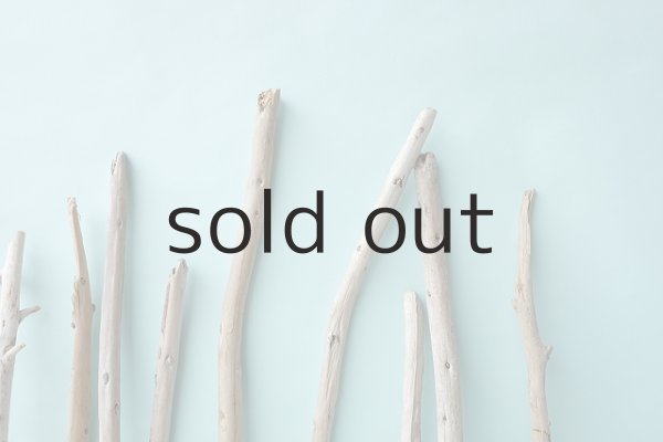 画像6: 棒流木セット (6)