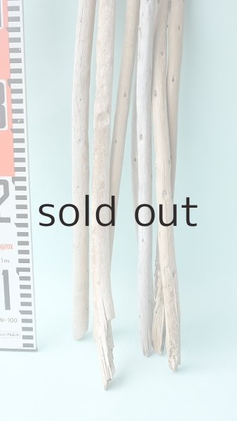 画像7: 棒流木セット (7)