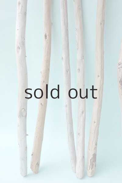 画像2: 棒流木セット (2)