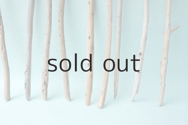 画像4: 棒流木セット (4)