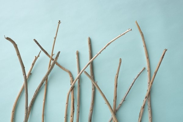 画像6: 棒流木セット (6)