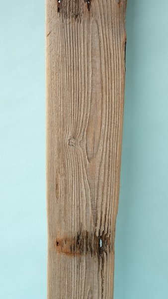 画像3: 板流木 (3)