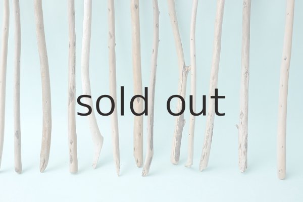 画像4: 棒流木セット (4)