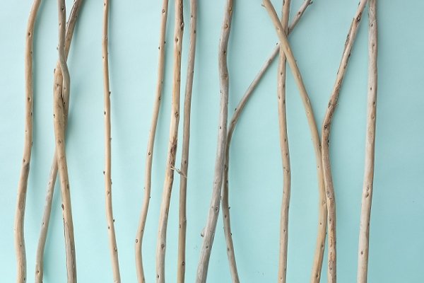 画像5: 棒流木セット (5)