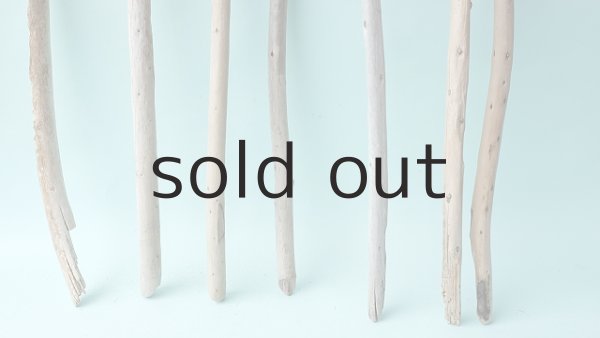 画像4: 棒流木セット (4)