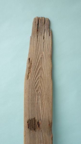 画像4: 板流木 (4)