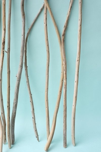 画像3: 棒流木セット (3)